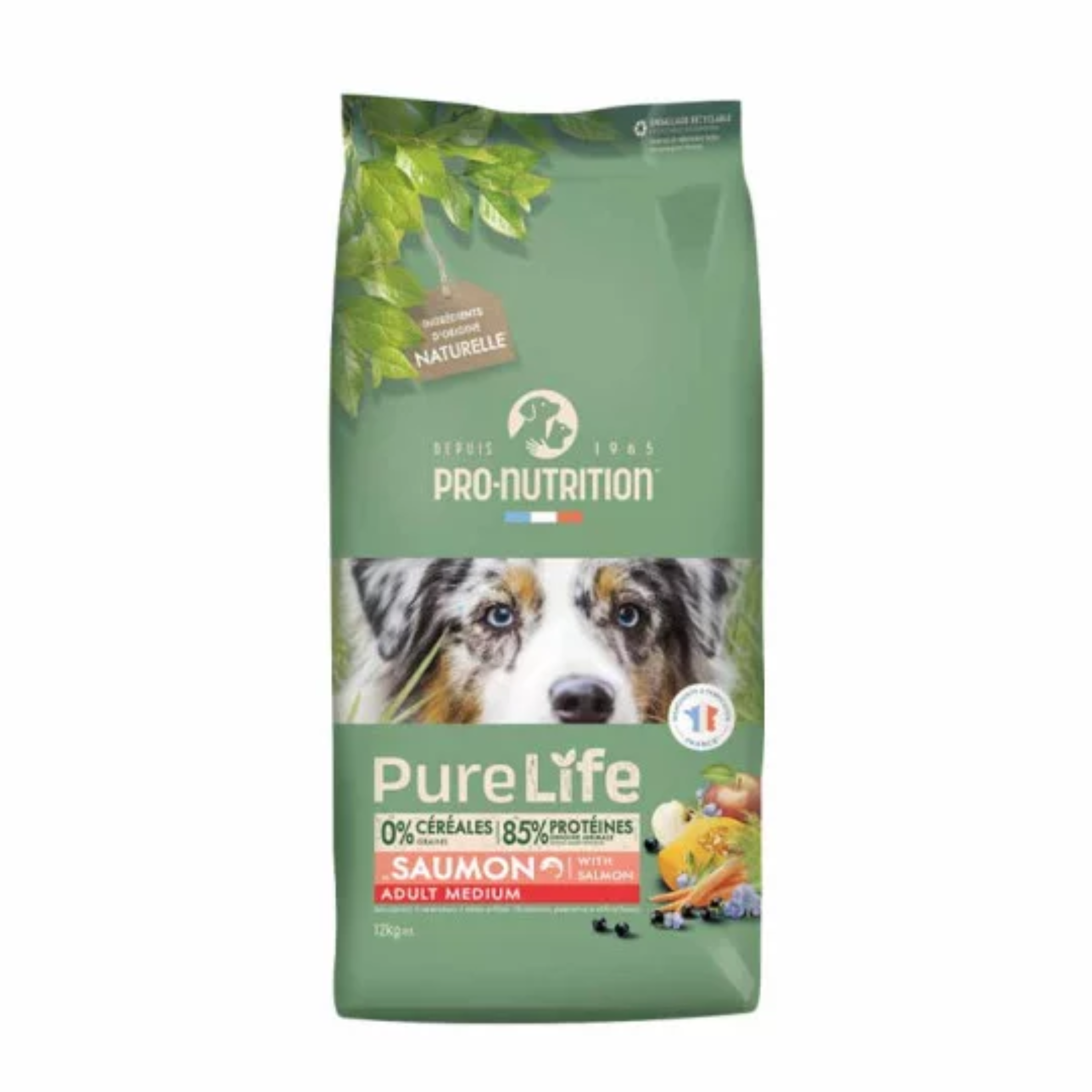 Alimentation pour chiens