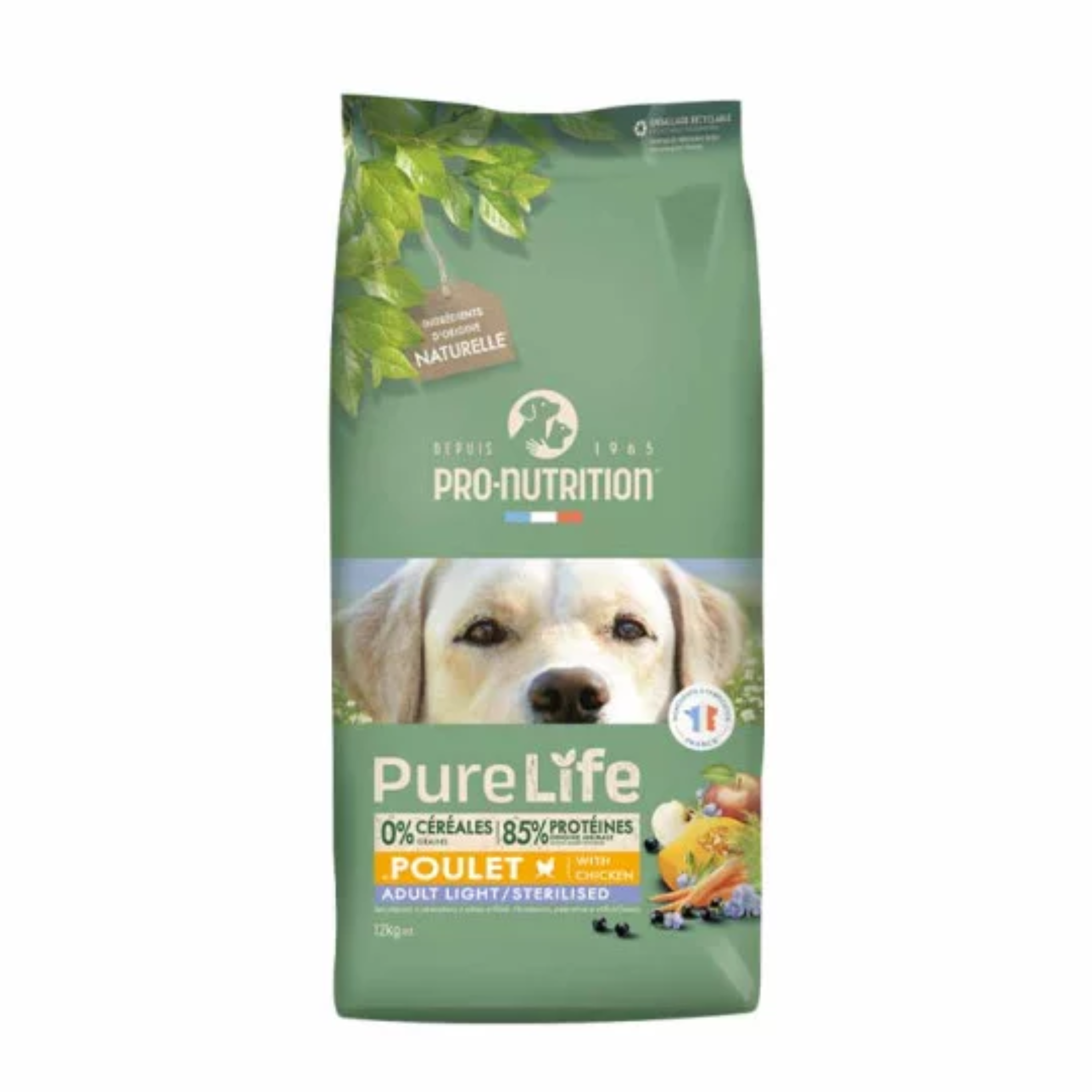 Alimentation pour chiens